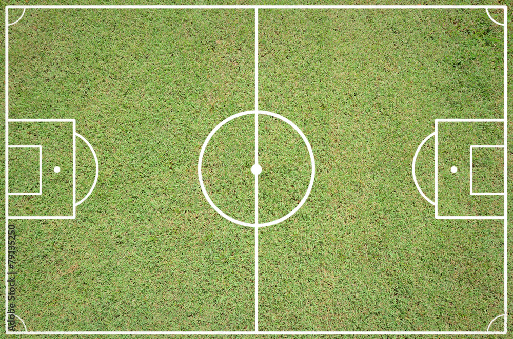 Naklejka premium Soccer field layout