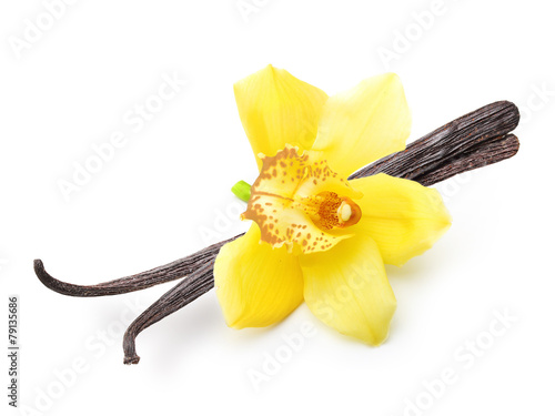 Vanilla pods and orchid flower