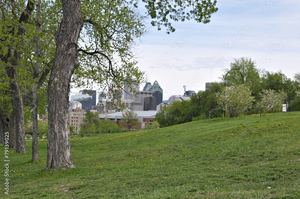 Spring has come at around McGill University