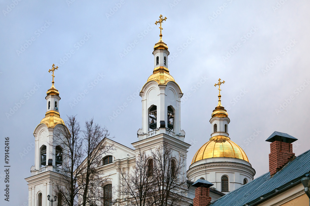 Купола Успенского собора. Витебск. Республика Беларусь Купола Успенского собора. Витебск. Республика Беларусь