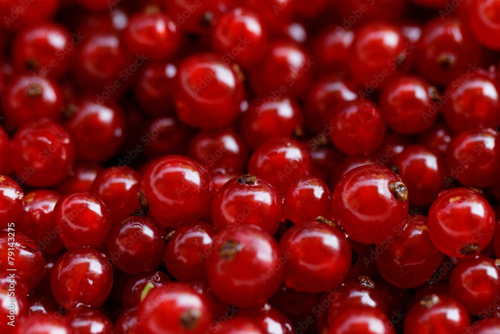 Background red currants Background red currants