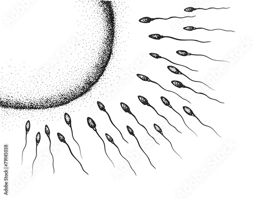 sperm and egg cell hand drawing