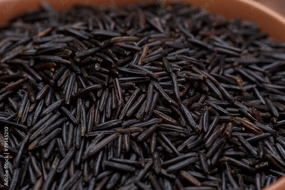 wild rice wild rice