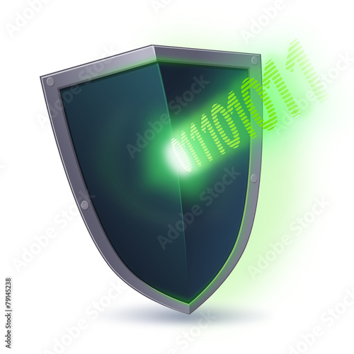Shield against a cyber attack