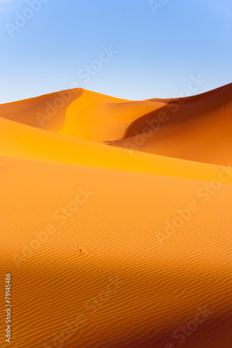 Sand Dunes in the Sahara Desert in Morocco
