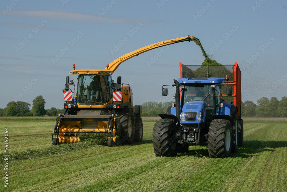 Gras haeckseln grasernte Gras haeckseln grasernte