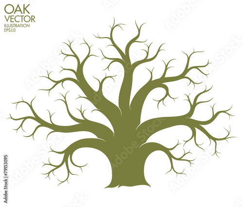 Oak