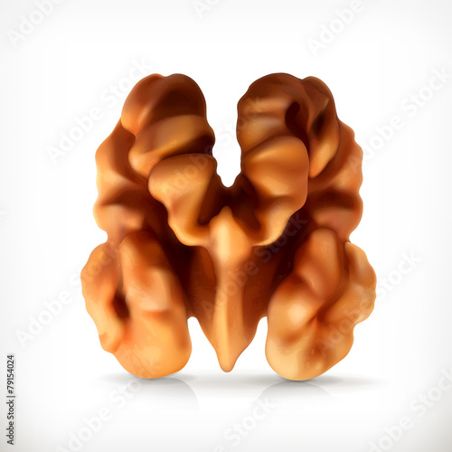 Walnut, vector icon