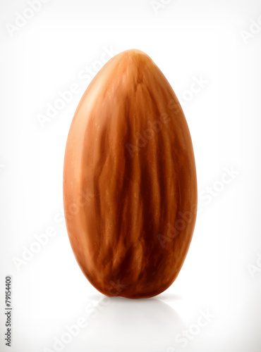 Almond, vector icon