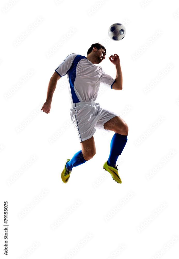 Fototapeta premium soccer player in action