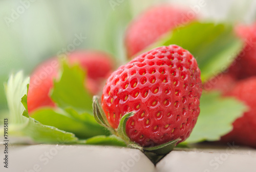 fraise et feuillage