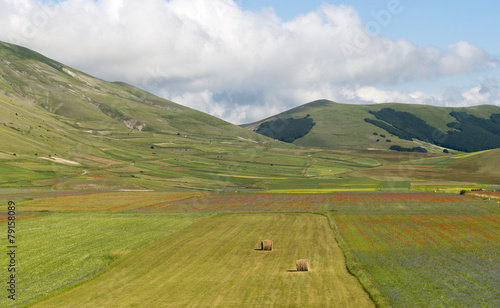 Piano Grande di Castelluccio (Italy)