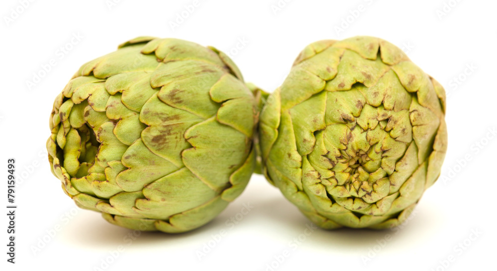 Fototapeta premium globe artichoke