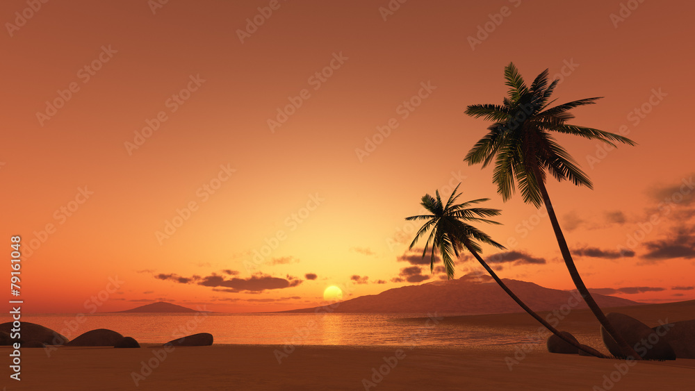 Naklejka premium sunset palm tree
