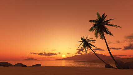 Acrylglasbilder Tropischer Strand Palme im goldenen Abendlicht  © magann