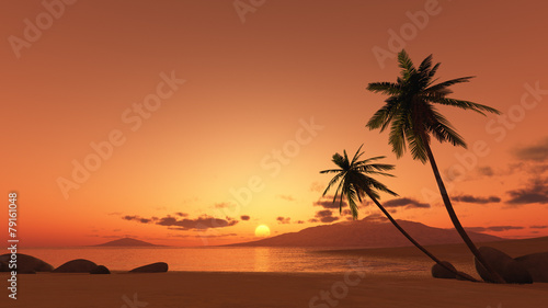 sunset palm tree © magann