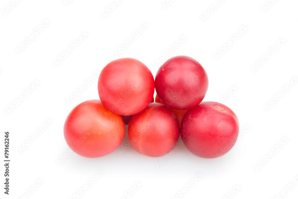 cherry-plum cherry-plum