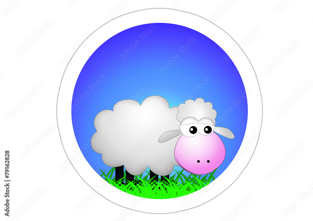 Obraz premium Autoaufkleber / Sticker / Schaf