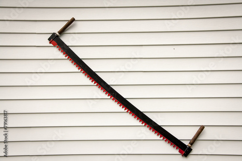 Obraz na plátně crosscut saw