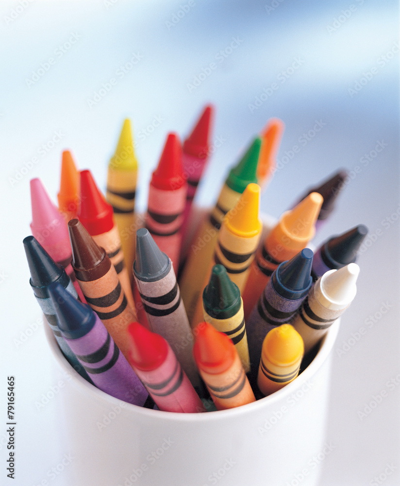 Fototapeta premium 포토시리즈