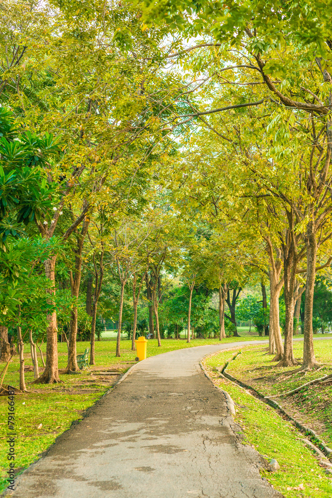 Peaceful park in the city with sun light