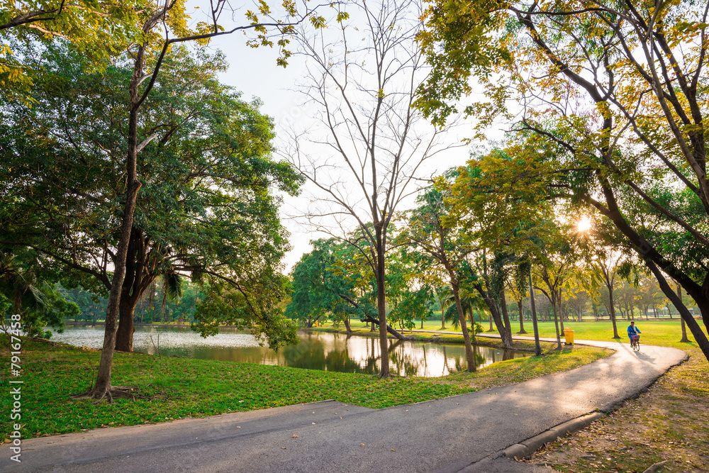 Beautiful green park