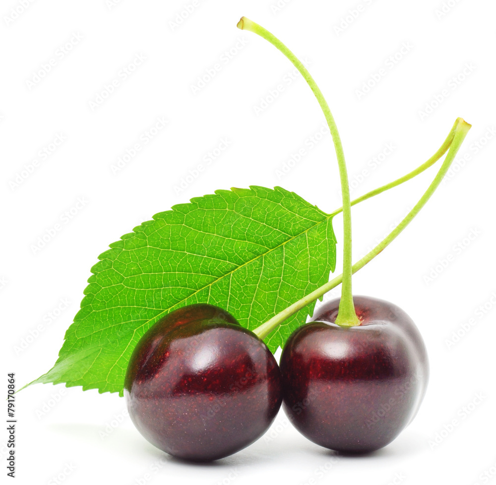 Naklejka premium Sweet Cherry