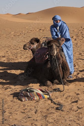 Deserto Sahara - uomo e cammello