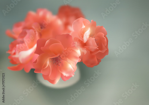 Shining flowers roses in vase