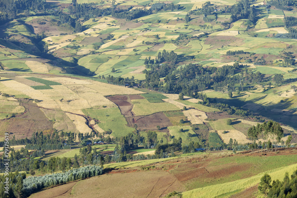 patchwork of farms in Ethiopia