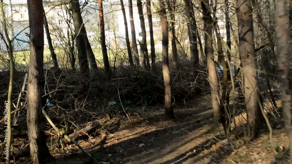 flying through bare forest - sunny - building in background