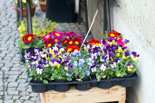 Blumen vor einem Blumenladen photo