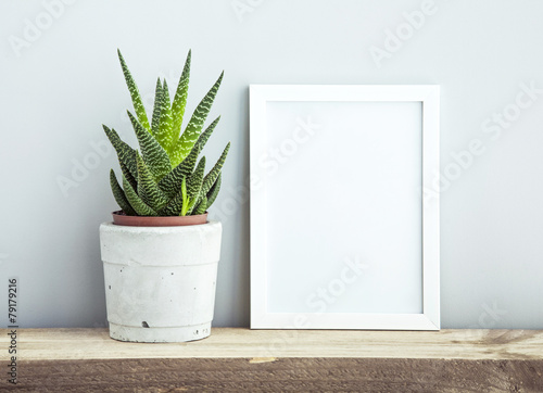 frame with succulent in diy pot. Mock up. Scandinavian design