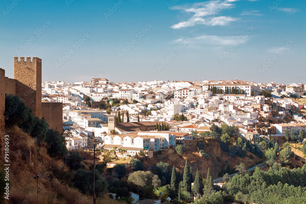 Ronda, Malaga Province, Andalusia, Spine