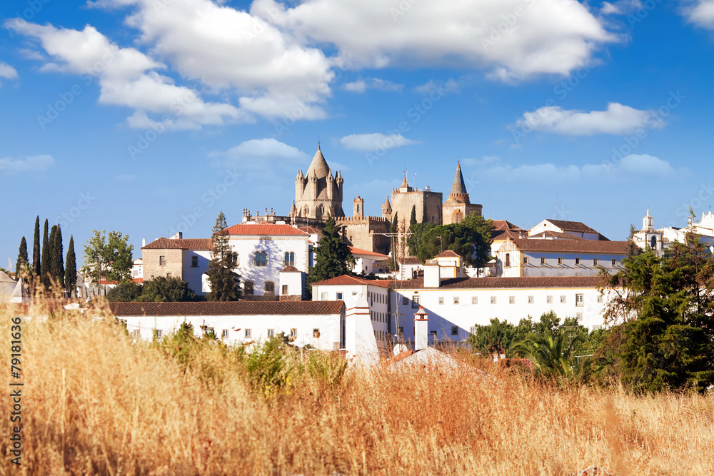catedral Evora, Portugal - obrazy, fototapety, plakaty 