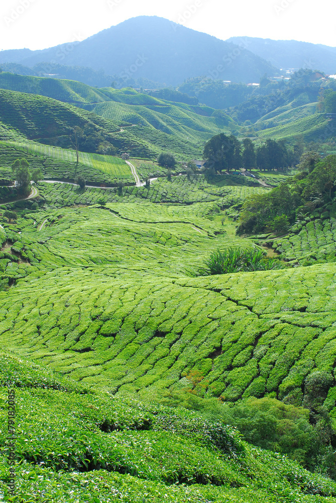 포토시리즈(해외여행)