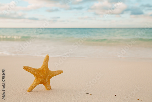 starfish on golden sand beach with waves in soft sunset light