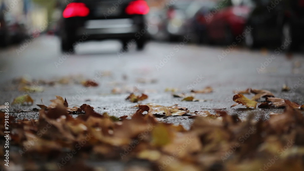 Leaves on the street - autumnal urban scene, traffic and cars Leaves on the street - autumnal urban scene, traffic and cars
