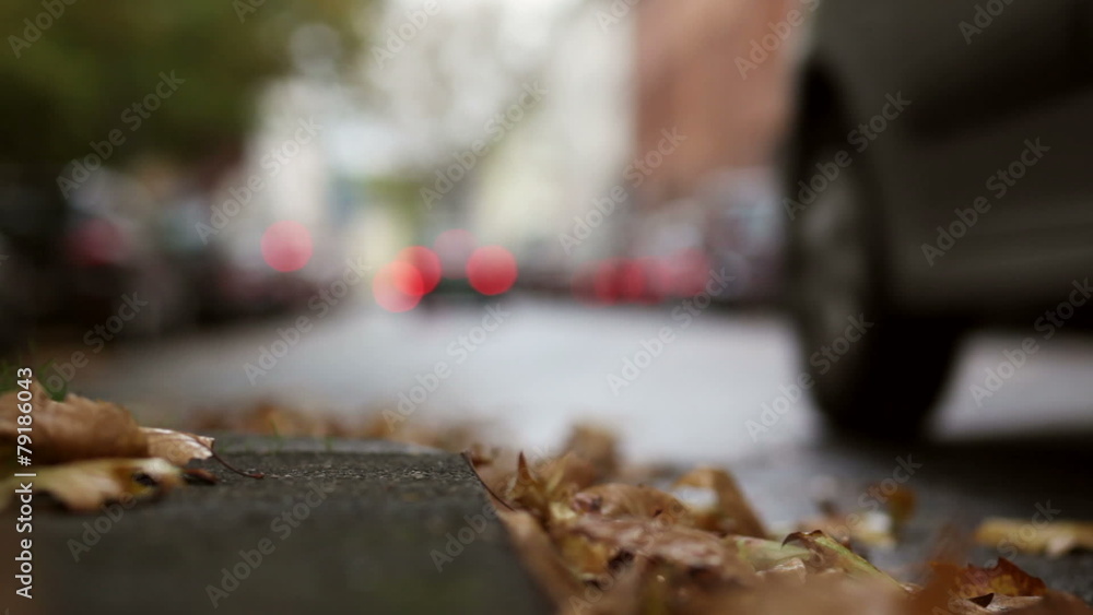 Leaves on the street - autumnal urban scene, traffic and cars Leaves on the street - autumnal urban scene, traffic and cars