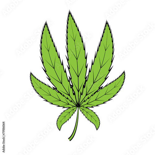 cannabis green leaf