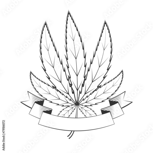 cannabis green leaf