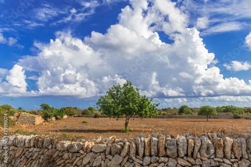 XXX - mallorquinische Landschaft mit Cumuluswolken - photo