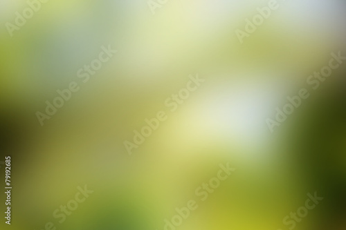 Abstract green blurred spring background