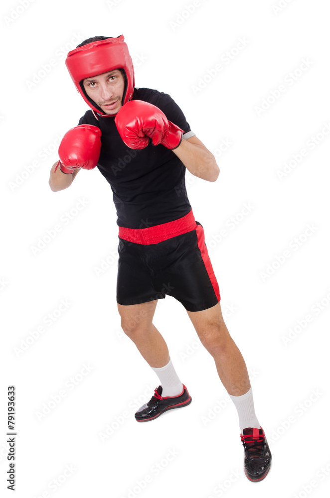 Funny boxer isolated on the white