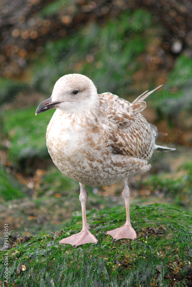 Obraz premium 포토시리즈(해외여행)