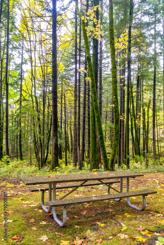 Autumn forest in Oregon with a table © knowlesgallery