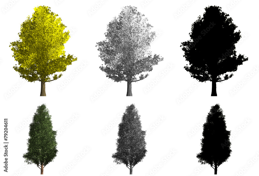 rendering of two different kinds of trees rendering of two different kinds of trees