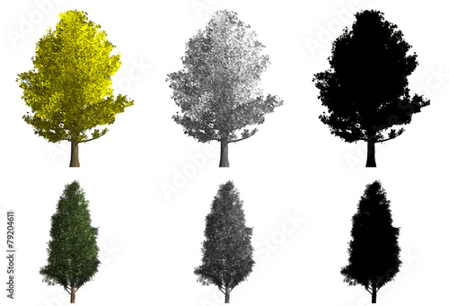 rendering of two different kinds of trees