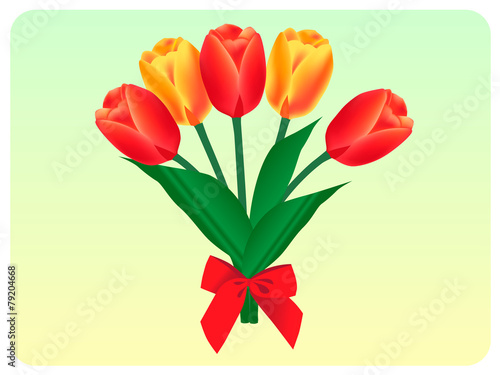 tulips