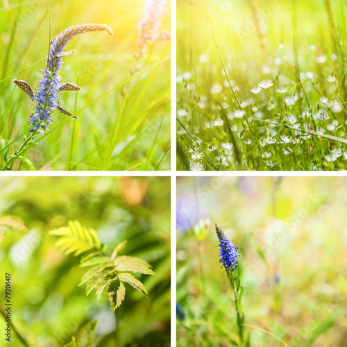 Collage of spring nature backgrounds